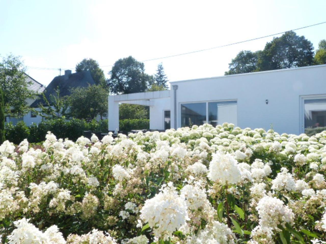 Villa Mosel Morbach Luaran gambar