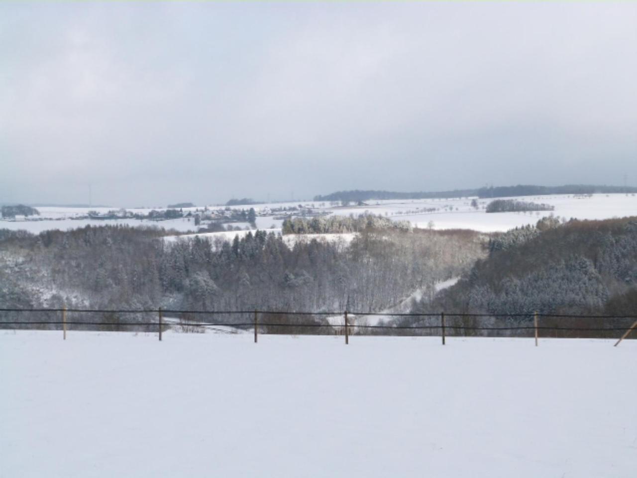 Villa Mosel Morbach Luaran gambar